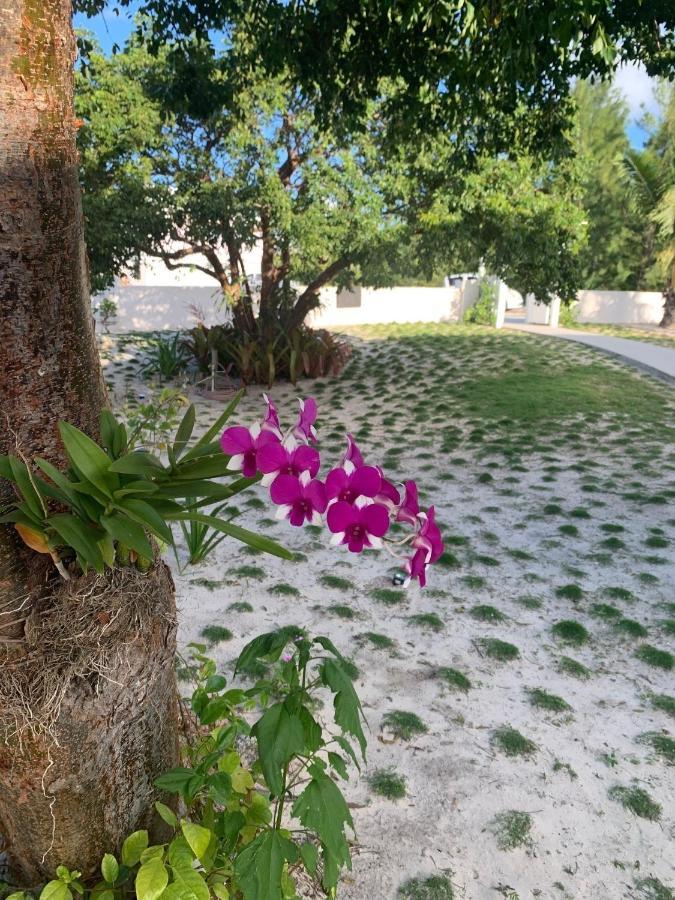 Gumbo Limbo Home Governor’s Harbour Bagian luar foto